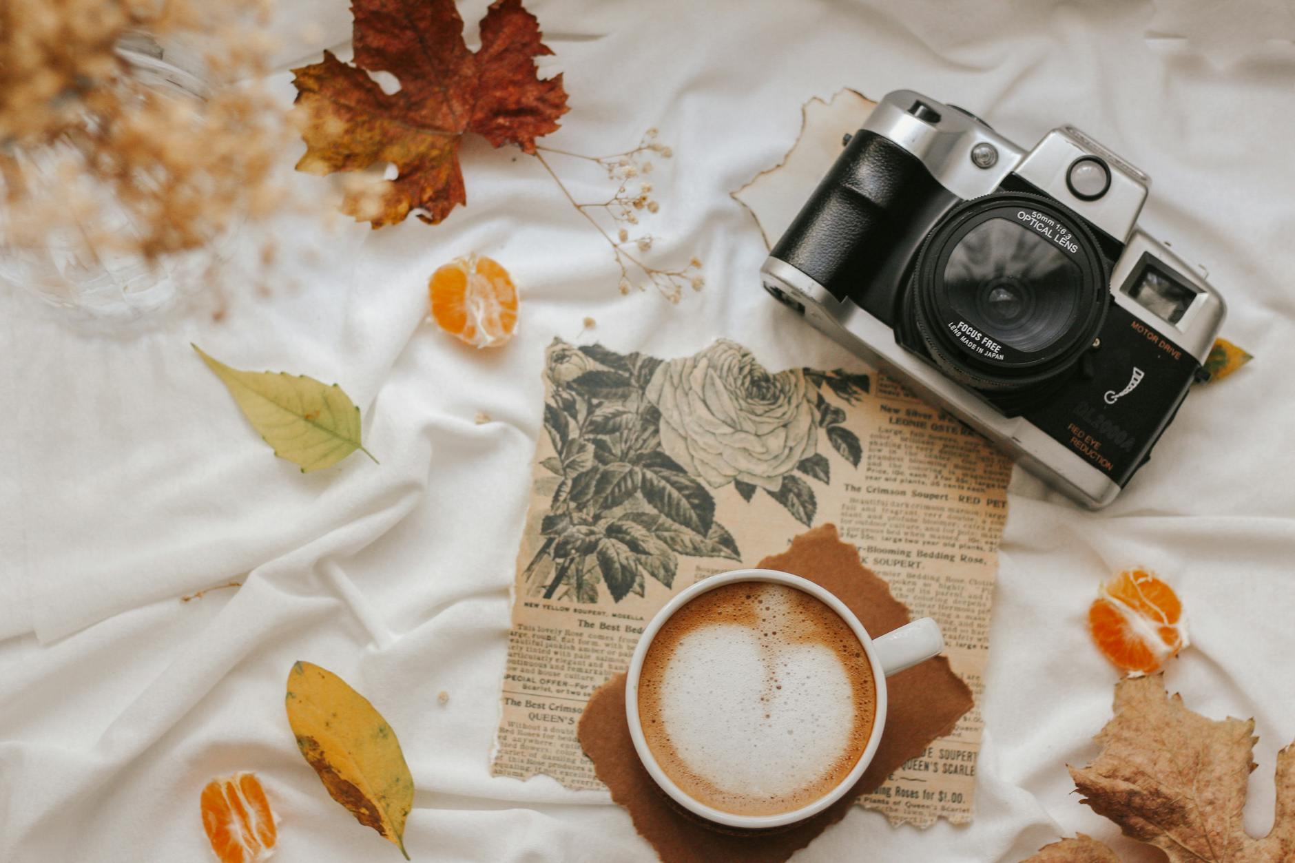 vintage camera and coffee on autumn leaves